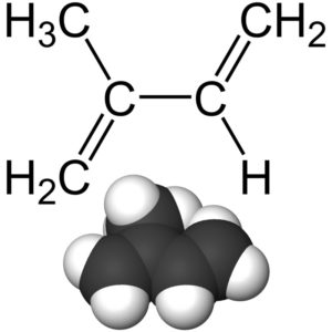 Molécula de isopreno, unidad química que forma el terpeno.