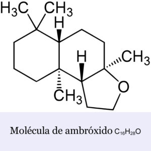 Molécula sintetizada de Ambroxan